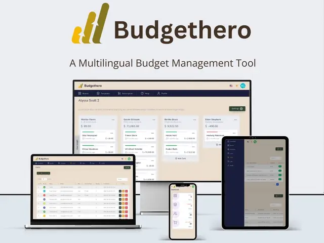 Budget Hero preview